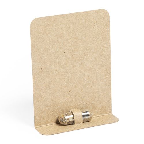 Frøkapsel - Billede 2